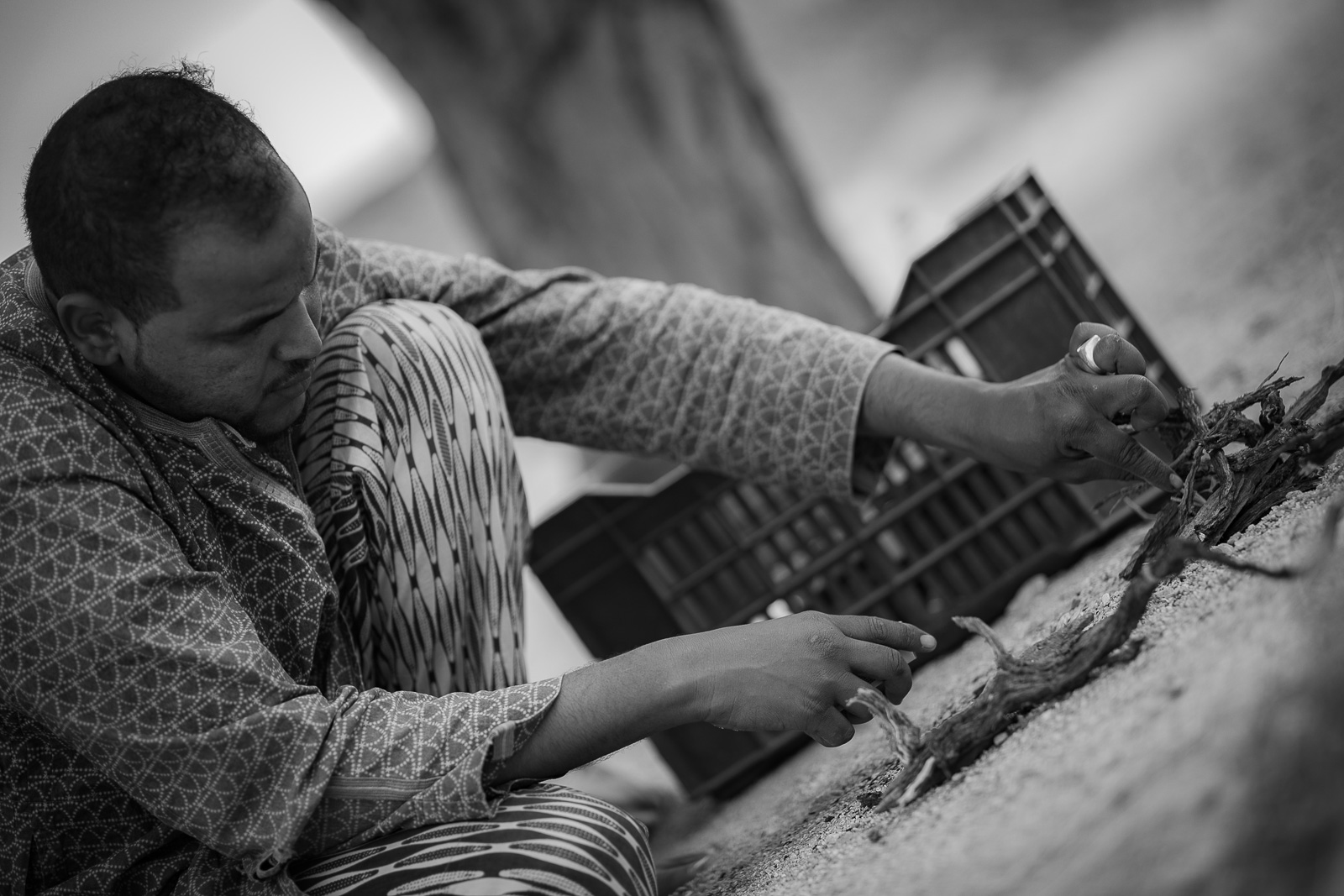 Human & Nature  outoftime 12